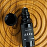 Terral
