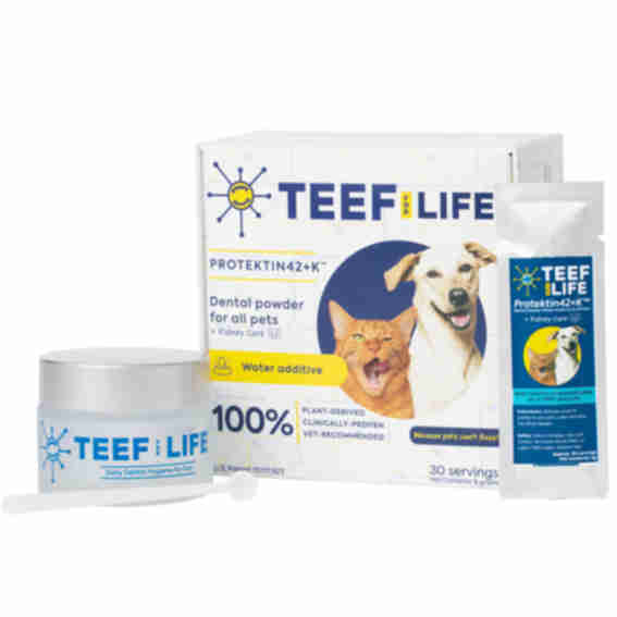 TEEF Reviews