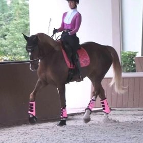 Dressage Sport Boots