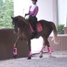Dressage Sport Boots