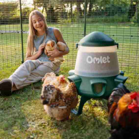 Omlet Reviews