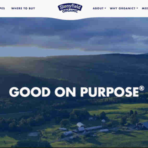 Stonyfield Reviews