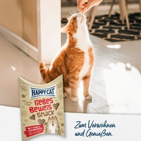 HappyCat