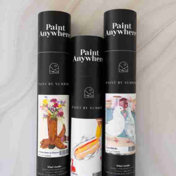 Paint Anywhere Reviews
