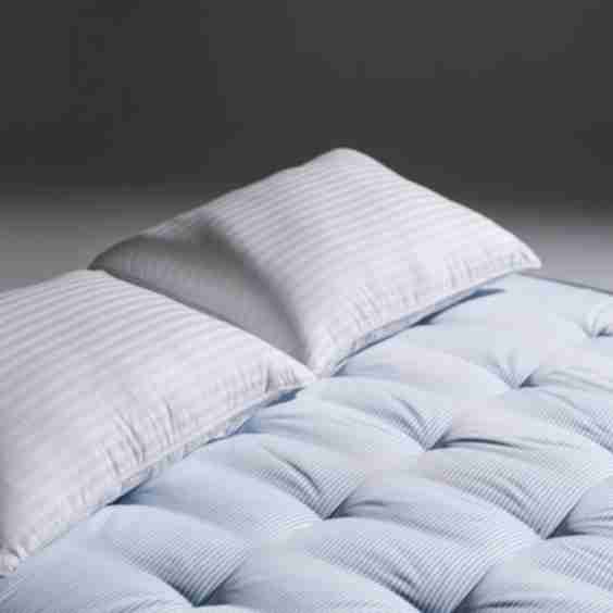 The Down Pillow