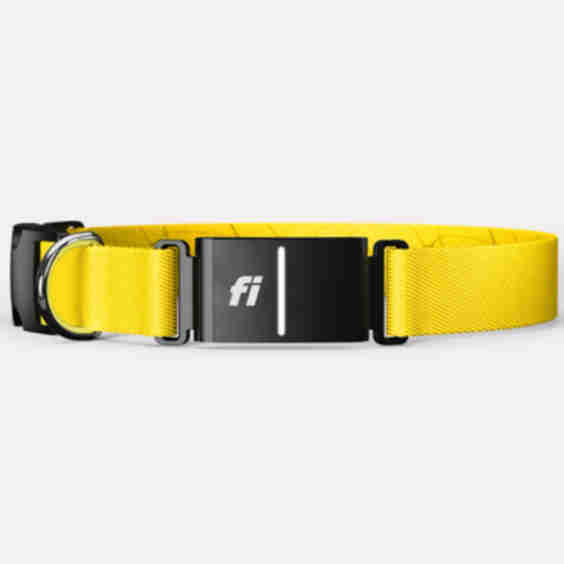 3+ Series Smart Dog Collar Gps