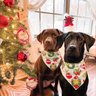 Pet Bandanas