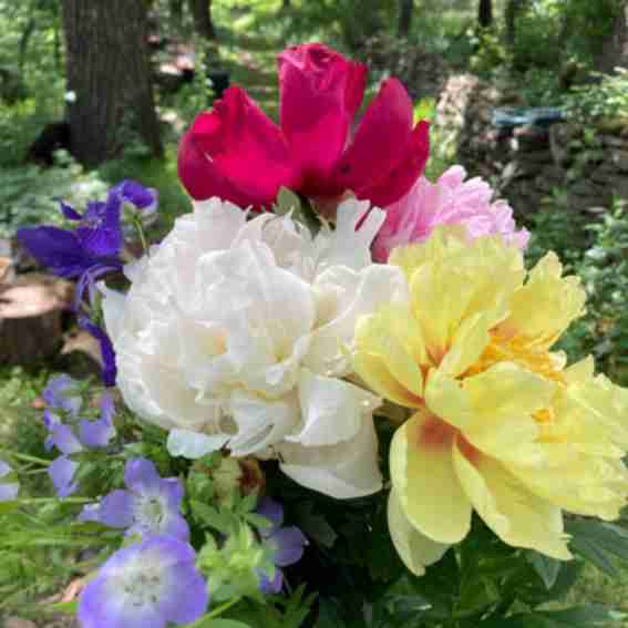 Lovejoy Farms Reviews