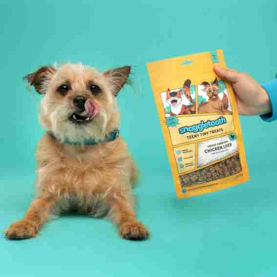 snaggletooth pets Reviews