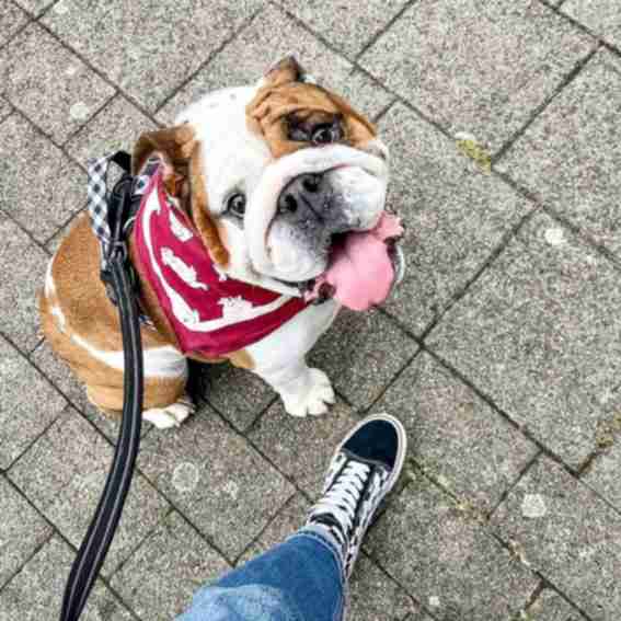 Duke & Winston Reviews