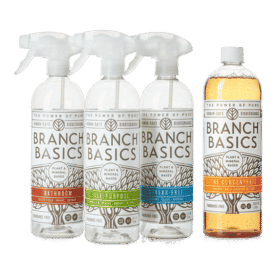 Cleaning Essentials Kit