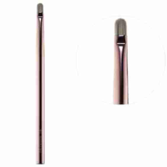Lip Brush