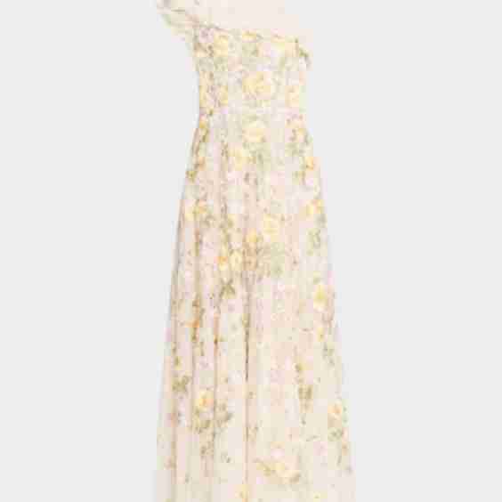 Florine One-Shoulder Embroidered Tulle Gown
