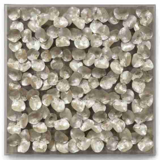 Playa Cultured Oyster Shell Nature Acrylic Frame Mixed Media - Square