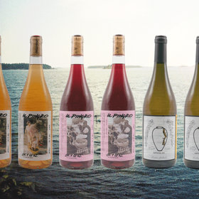 Super Natural Wine Collective