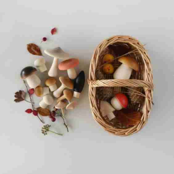Forest Mushrooms Basket - Moon Picnic