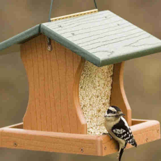 Woodlink Reviews