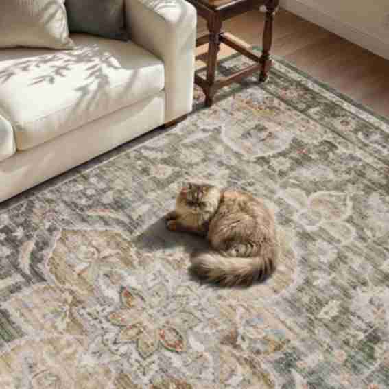 Montvoo Rugs Reviews