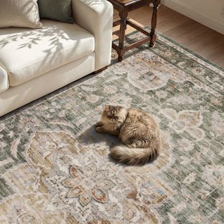 Montvoo Rugs