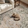 Montvoo Rugs