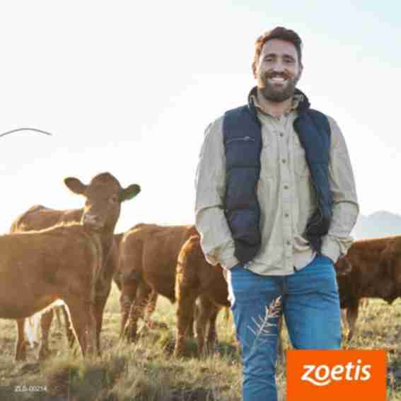 Zoetis Reviews
