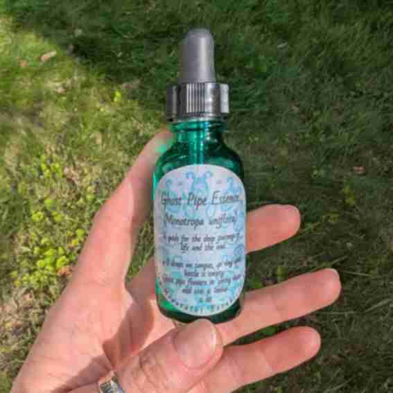 Rustic Heart Wellness Reviews