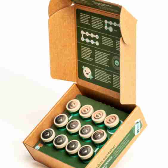D Cell 12 Pack