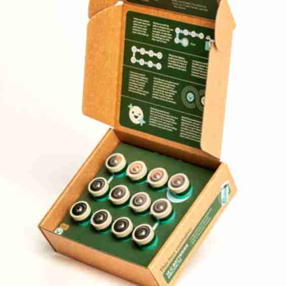 C Cell 12 Pack