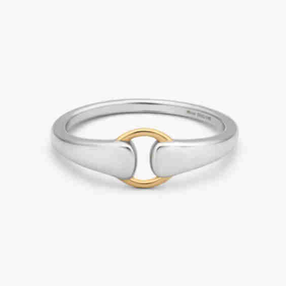 Mixed Metal Buckle Ring