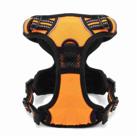 Outdoor Adventure Dog Harness