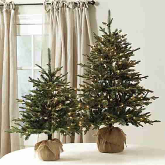 Suzanne Kasler Fraser Fir Tabletop Tree
