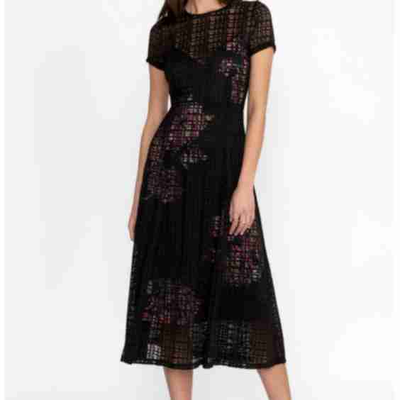 Solia Paneled Midi Dress