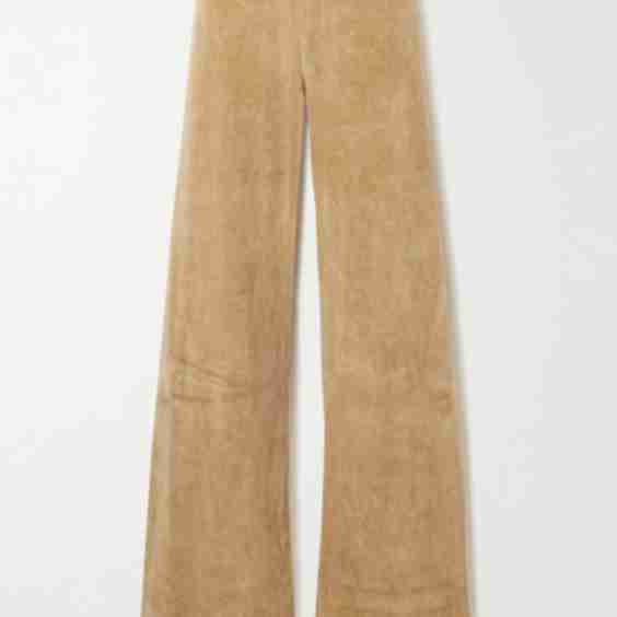 Lito Pants in Velour 