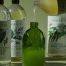 Koala Eco