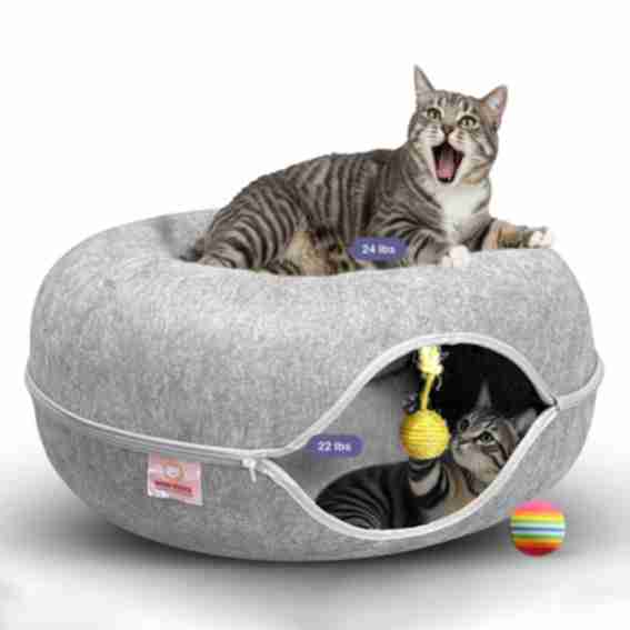 Meowmates Reviews