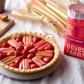 Doves Farm Foods Ltd