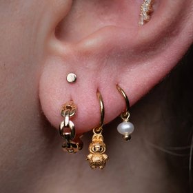 The Curated Lobe