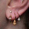 The Curated Lobe