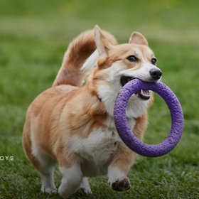 PAWD