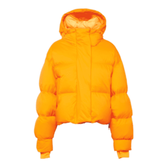January Ski Jacket
