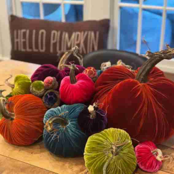 Plush Pumpkins Reviews