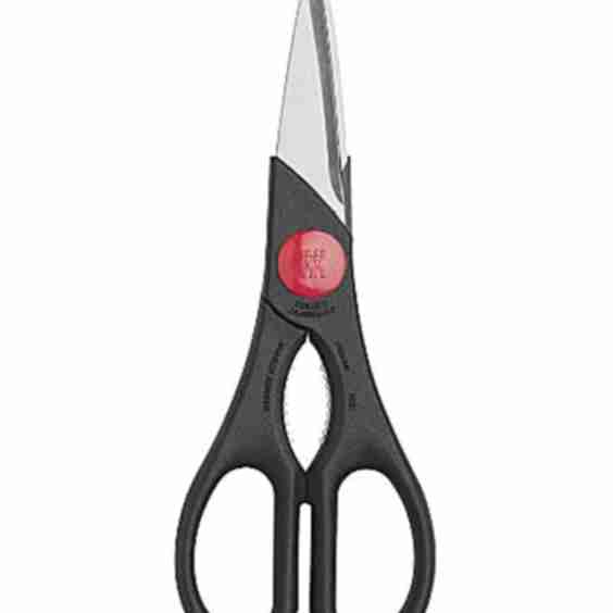 Twin Kitchen Shears