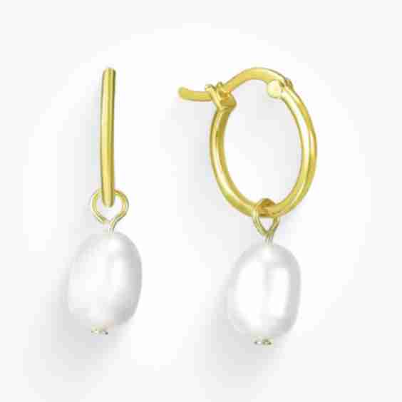 Fancy Nancy Earrings