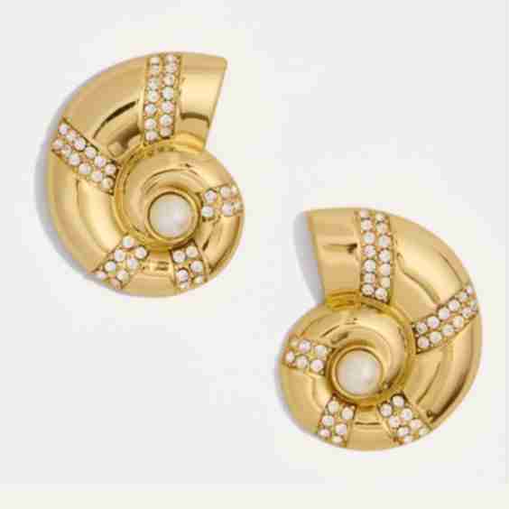 Nautilus Shell Stud Earrings