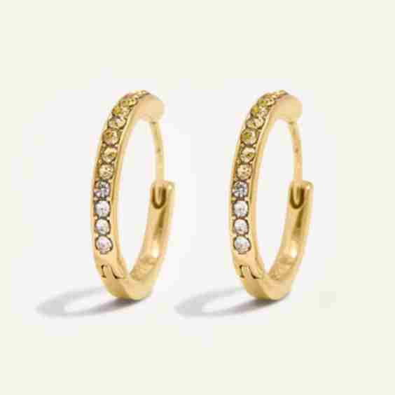 Sana Versatile Huggie Hoops