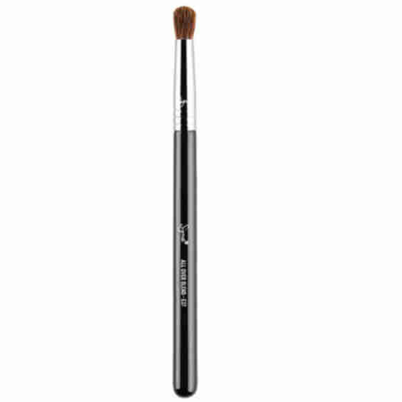 E37 All Over Blend Brush