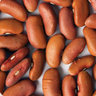Zursun Idaho Heirloom Beans