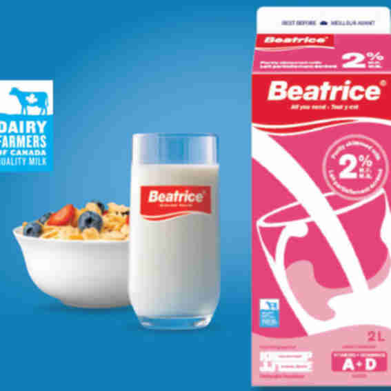 Beatrice Reviews