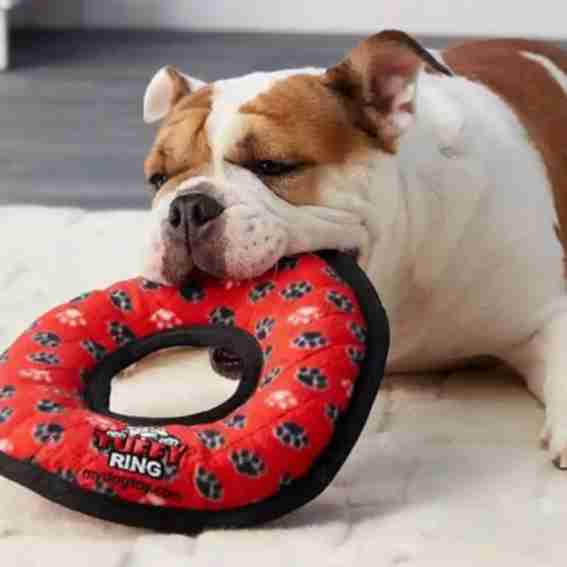 DogTuff Reviews