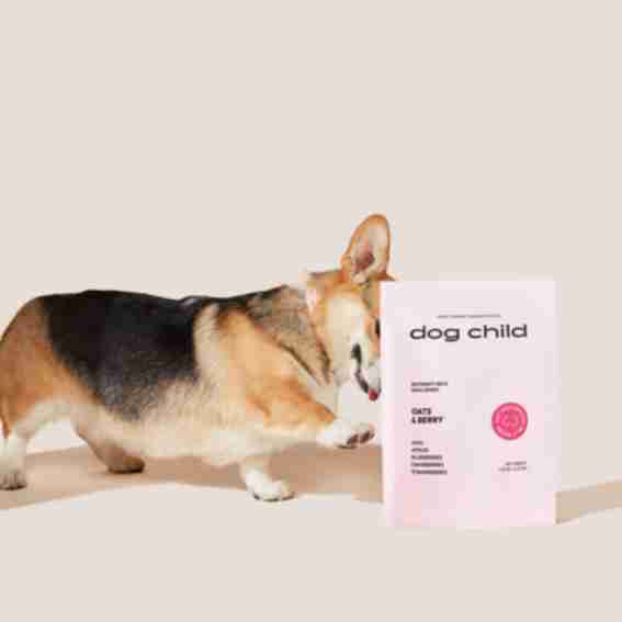 Dog Child Reviews